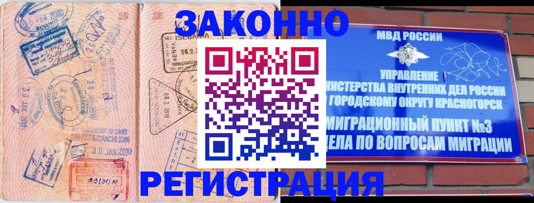 прописка иностранных граждан в Шали